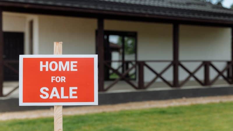 5 Ways Pest Inspections Can Impact Your Home Sale Price